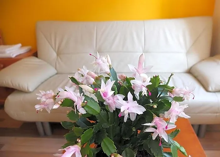 Aparthotel Leopoldauer With Air Conditioning 4*