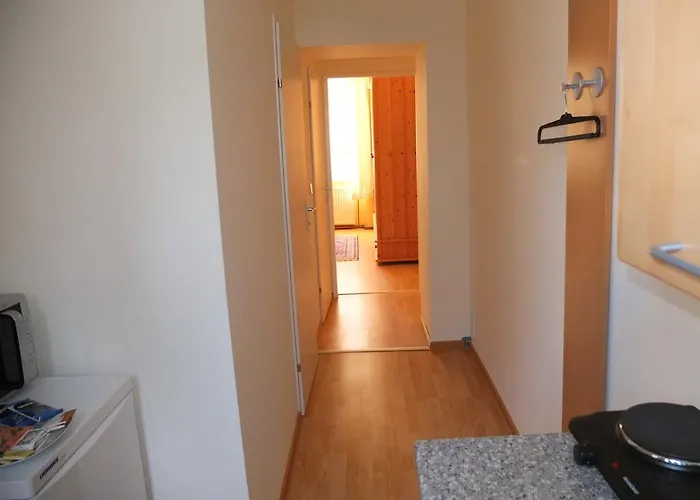 Aparthotel Leopoldauer With Air Conditioning