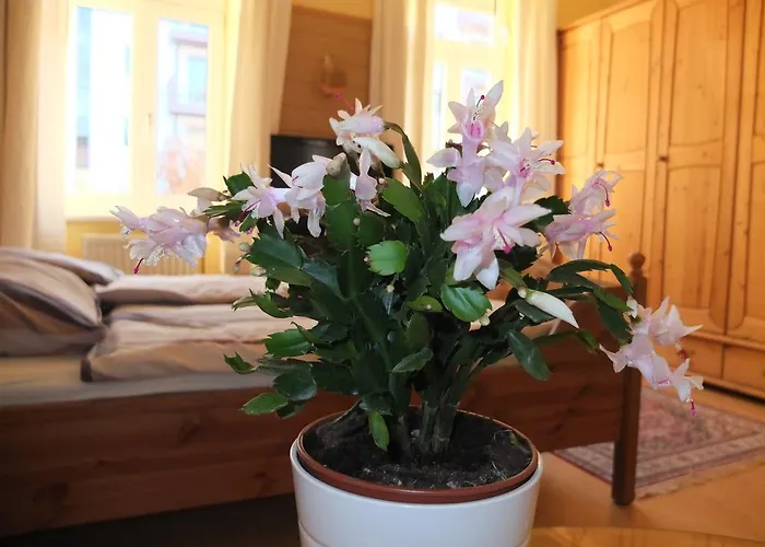 Aparthotel Leopoldauer With Air Conditioning 4*